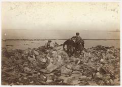 Boys scavenging at a dump site in South Boston, 1909