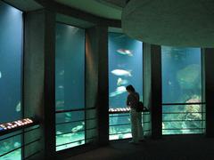 Atlantic coral reef tank in the Baltimore Aquarium