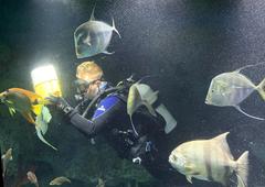 Diver feeding fish at the National Aquarium in Baltimore