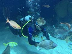 diver feeding fish at the National Aquarium in Baltimore