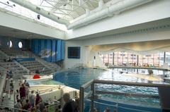 dolphin exhibit at Baltimore Aquarium