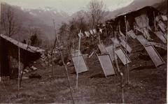 Papermaking in Tawang, 1914