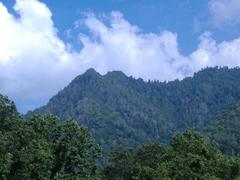 Chimney Tops in Great Smoky Mountains