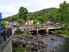 Serene creek flowing through lush greenery in Gatlinburg