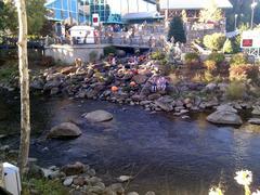 fall display near the aquarium with colorful trees and a water feature