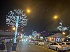 Gatlinburg, Tennessee at night