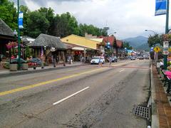 panoramic view of Gatlinburg