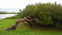 Scenic coastal view of Saint-Lunaire in Brittany, France