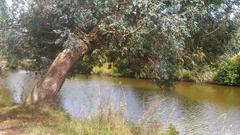 Crèvelin River in Saint-Lunaire