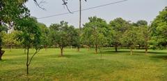 Open field at Shilaidaha Kuthibadi, a historic site in Bangladesh