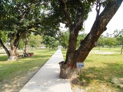 Rabindra memorial tree mango at Shilaidaha Kuthibadi