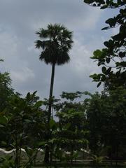 Shilaidaha Kuthibari, residence of Rabindranath Tagore in Kushtia, Bangladesh