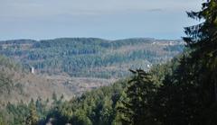 View towards Bad Liebenzell with Burg Liebenzell on the left