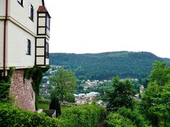 View from Burg Liebenzell of Liebenzell city