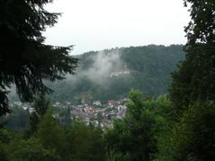 view towards Burg Liebenzell castle