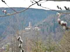 Burg Liebenzell in Germany, originally built in the 12th century, reconstructed in 1954