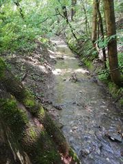 Jinonický brook temporarily full of water