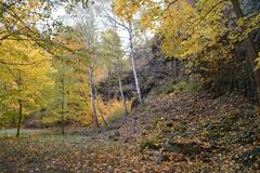 Kační lom fossil site in Butovice