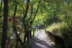 Dalejský potok creek valley nature trail