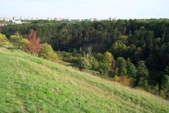 Nature on the slopes of Dalejský potok creek valley