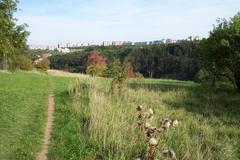 Nature on the slopes of Dalejský potok creek valley in Jinonice, Prague