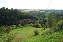 Nature on the slopes of the Dalejský potok creek valley