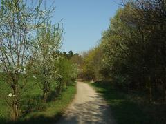 Nature in Prague, Prokopské údolí nature park