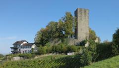 Windeck Castle in autumn