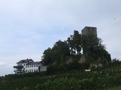 bird's-eye view of the Windeck Castle in Bühl, Germany