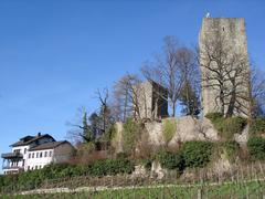 Burg Alt-Windeck in Bühler, Germany, surrounded by dense trees and greenery.