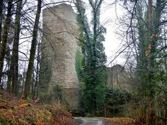 Burgruine Liebeneck in a forested landscape