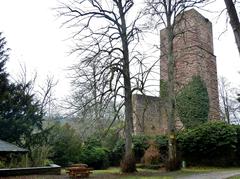 Burgruine Liebeneck in a scenic landscape