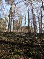 Burgruine Liebeneck Bergfried