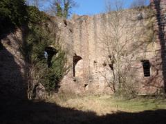 Burgruine Liebeneck main house