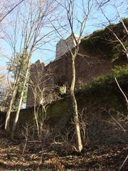 Burgruine Liebeneck from the forest