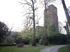 Ruins of Liebeneck Castle in Germany