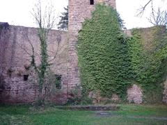 Burgruine Liebeneck ancient ruins