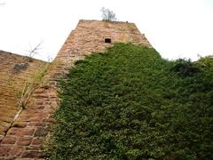 Burgruine Liebeneck ruins