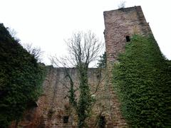 Ruins of Liebeneck Castle