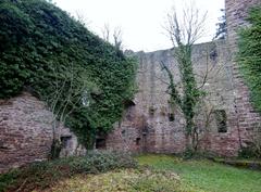 Burgruine Liebeneck with historical background in the photo description