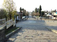 Viale alla Basilica pathway with lush greenery