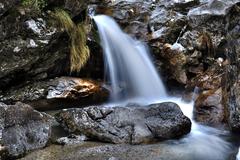 Cascata Vertova waterfall in a lush green forest