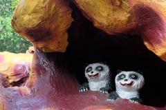 baby pandas at Haw Par Villa