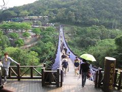 crowds of tourists on Baishihu Suspension Bridge