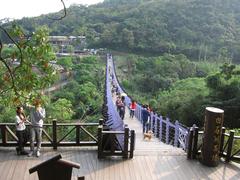 People walking on Baishihu Suspension Bridge