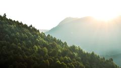 Munnar morning sunrise