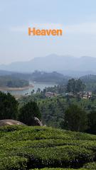 Scenic view of a road to Munnar surrounded by lush greenery