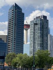 Calgary Tower between buildings