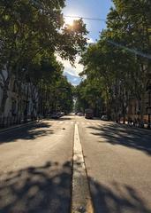 Avenida de Mayo tree-lined street in Buenos Aires