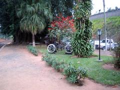 Anhumas Station in Campinas with a vintage train and lush greenery